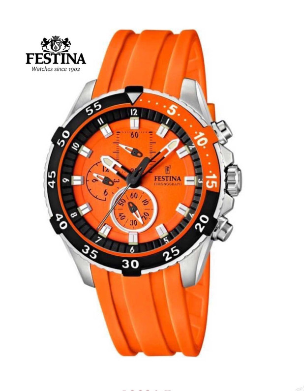 Festina Watch